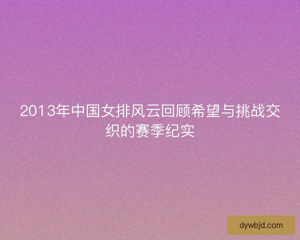 2013年中国女排风云回顾希望与挑战交织的赛季纪实