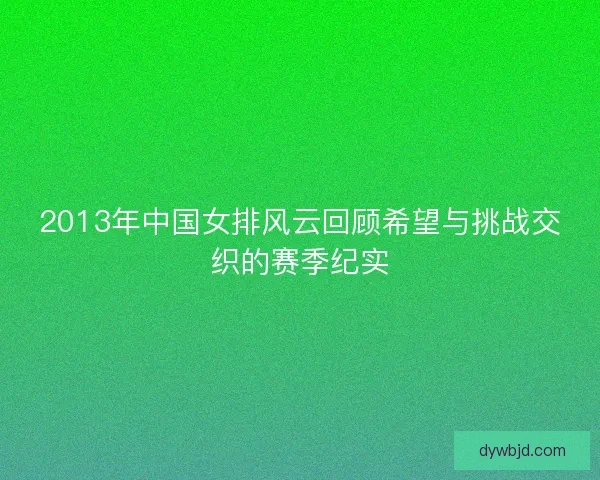 2013年中国女排风云回顾希望与挑战交织的赛季纪实